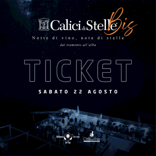 Ticket intero 22ago